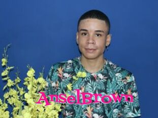 AnselBrown