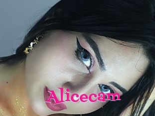 Alicecam