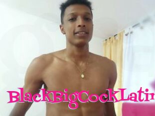 BlackBigCockLatin