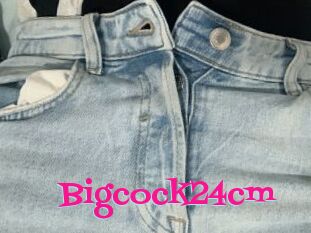 Bigcock24cm