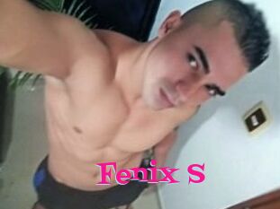Fenix_S