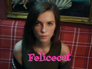Felicecat
