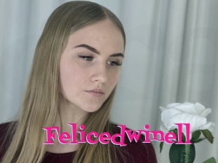 Felicedwinell