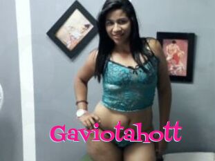 Gaviotahott