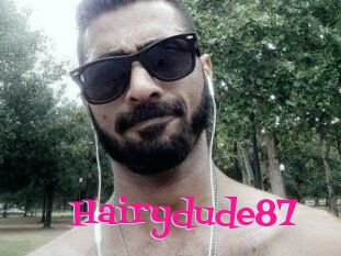 Hairydude87