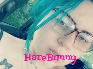 HareBunny