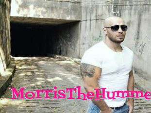 MorrisTheHumme