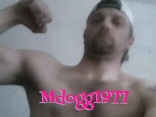 Mdogg1977