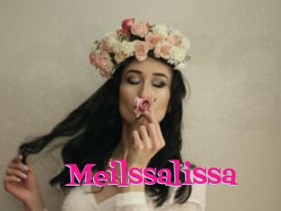 Meilssalissa