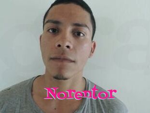Noren_tor