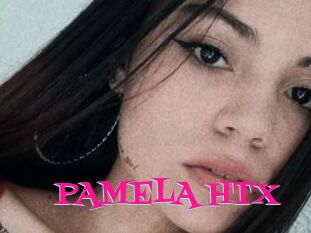 PAMELA_HTX