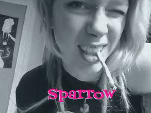 Sparrow