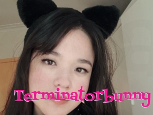 Terminatorbunny