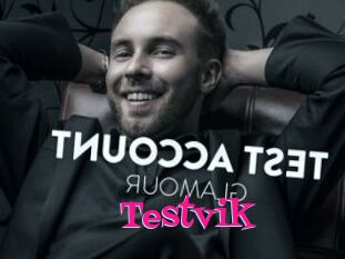 Testvik
