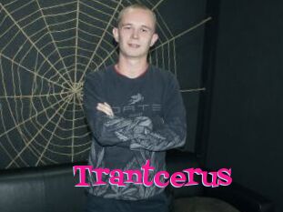 Trantcerus