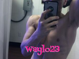 Waylo23