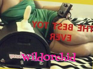 WildOrchid_